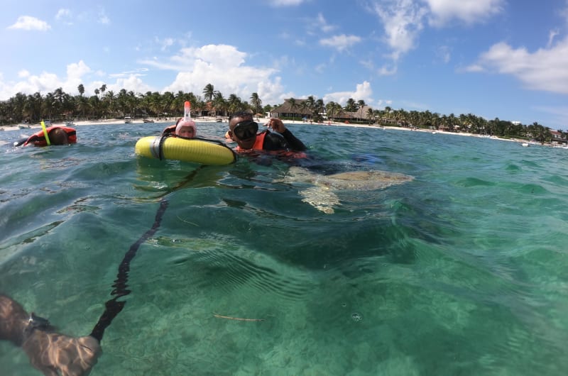 Caribbean Vibes Tours — photo 2