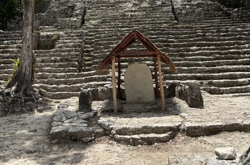 Yucatán Eli's Tours — photo 1