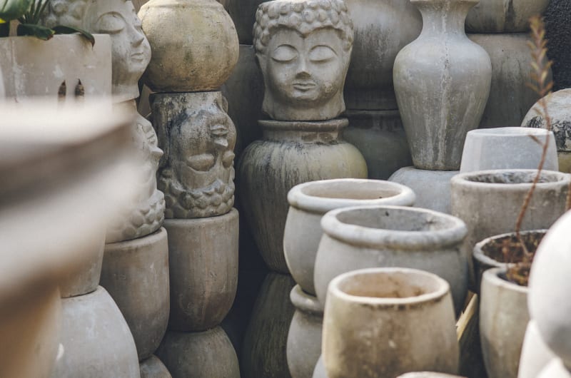 Ditulum Plant Nursery — photo 3
