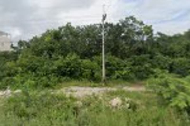 Darsana Ayurveda — photo 1