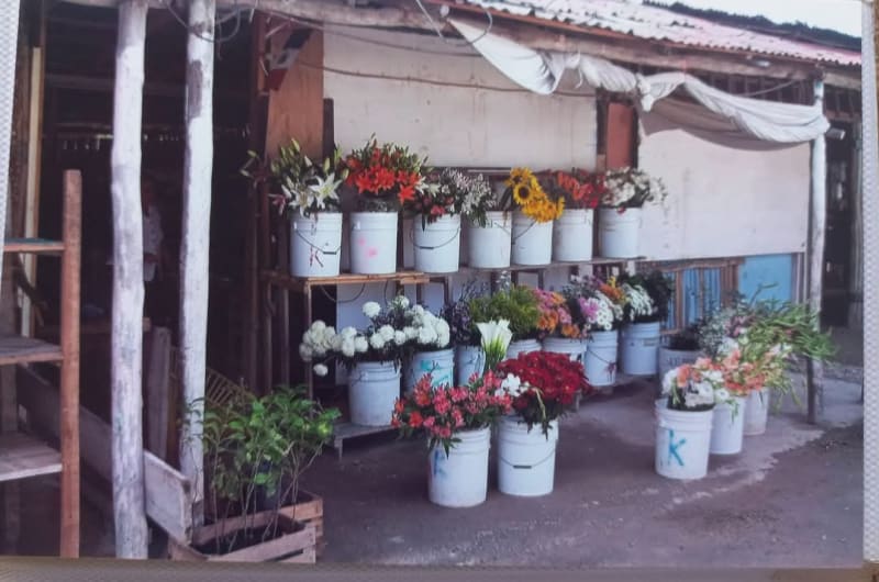 Florería Keren — photo 1