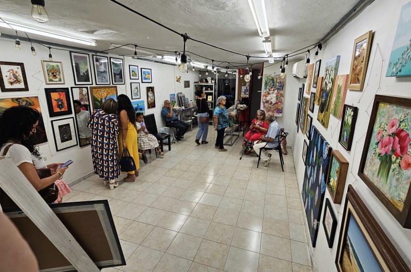 Centro Cultural MID guía — photo 2