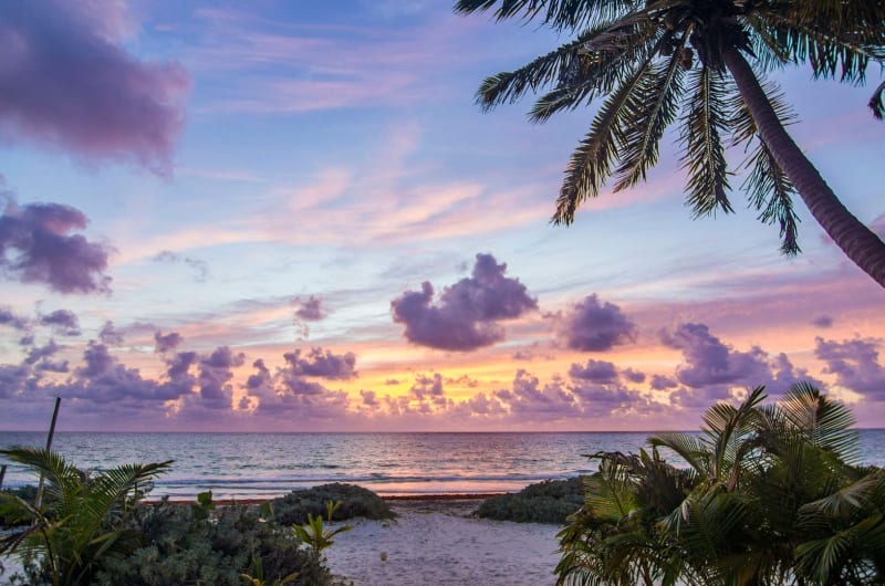 Travel Wellness Concierge | Tailored holidays in Tulum , Puerto Escondido , Bacalar , Oaxaca , CDMX — photo 1