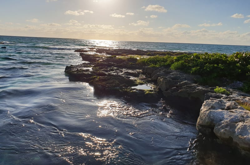 AmberJack — photo 2