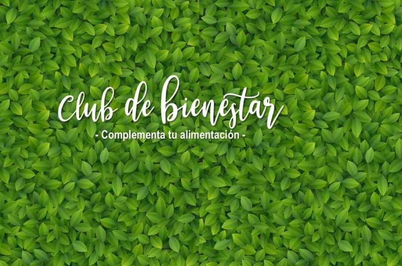 Club de Nutrición (Club de Bienestar Mérida) — photo 1