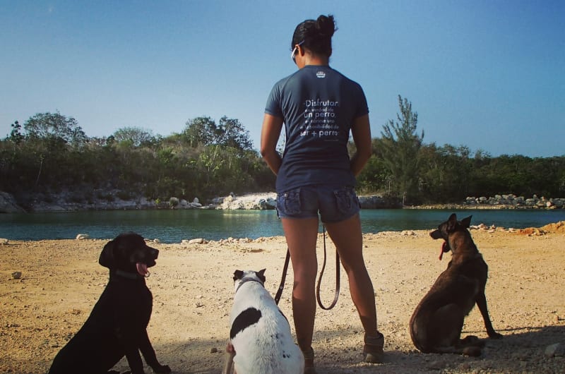 Good Dog Tulum — photo 1