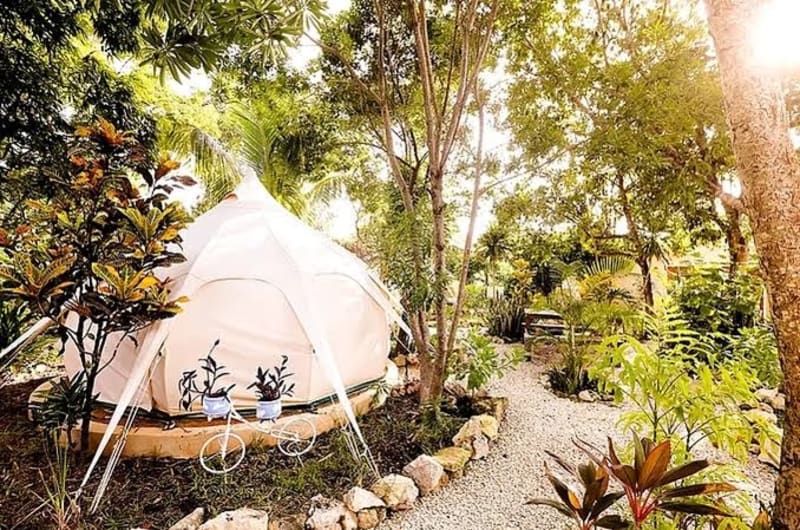 Eco-Friendly Tents on Organic Farm in Tulum, Mexico — photo 3