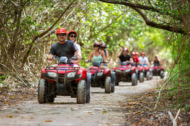 Jungle Rides — photo 1