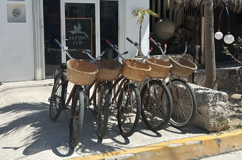 Best Bikes Tulum — photo 3