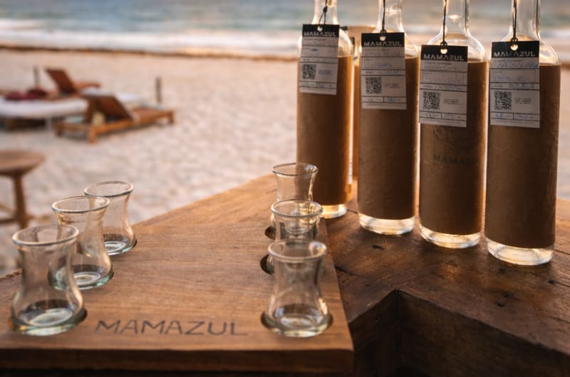 Beach Club in Tulum | Mamazul on the Beach — photo 3