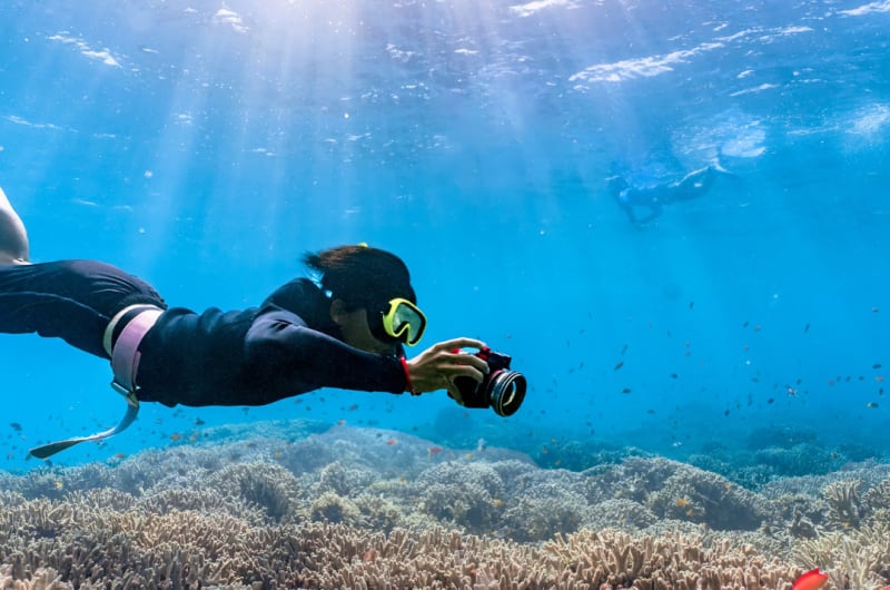 Freediving Tulum MExplor — photo 2