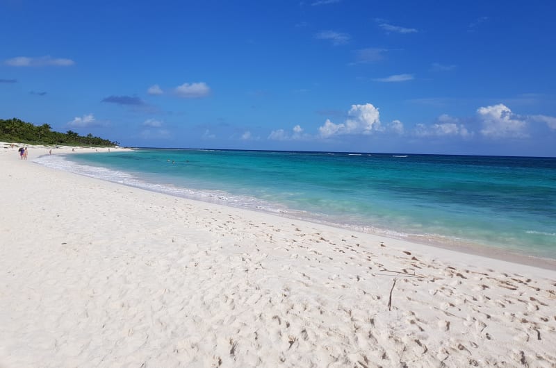 Tortuga Marina Sanctuary — photo 3