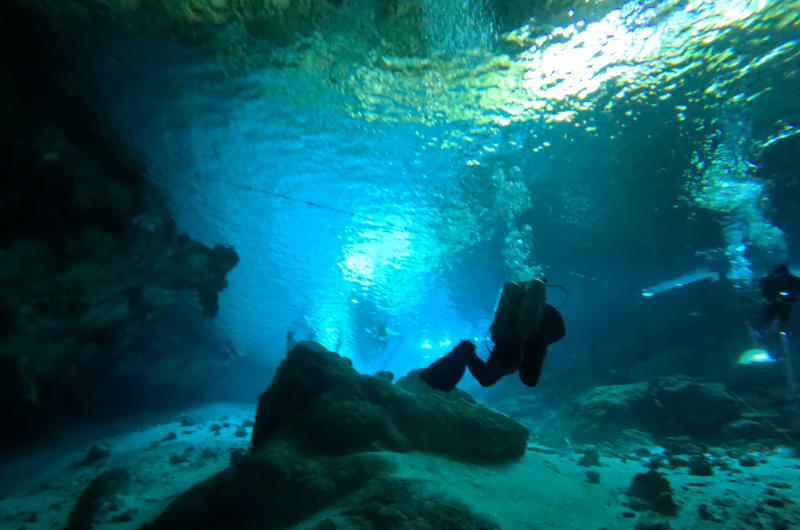 Scuba Tulum Dos Ojos (Dive shop) — photo 1
