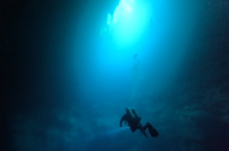 Scuba Tulum Dos Ojos (Dive shop) — photo 2