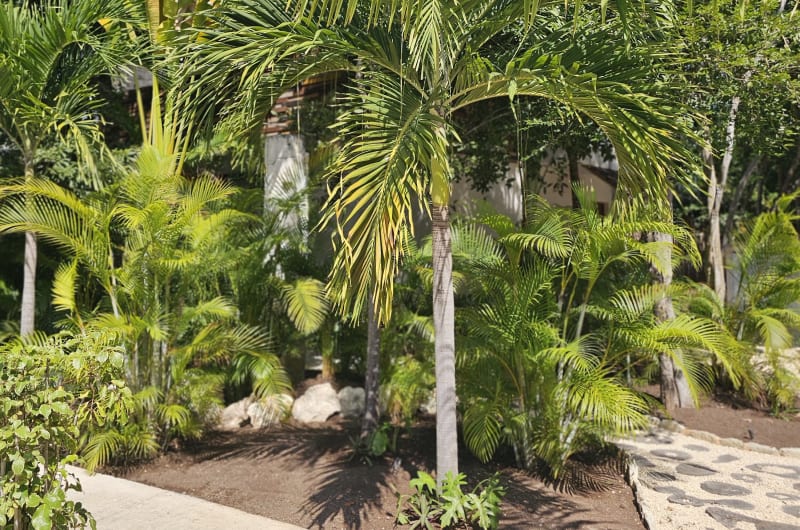 Vivero Tulum — photo 2