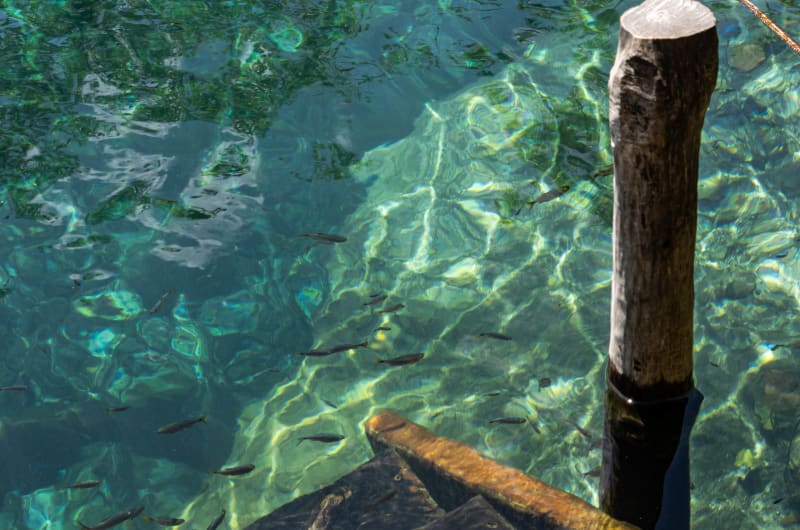 Cenote Adventures Tulum — photo 1