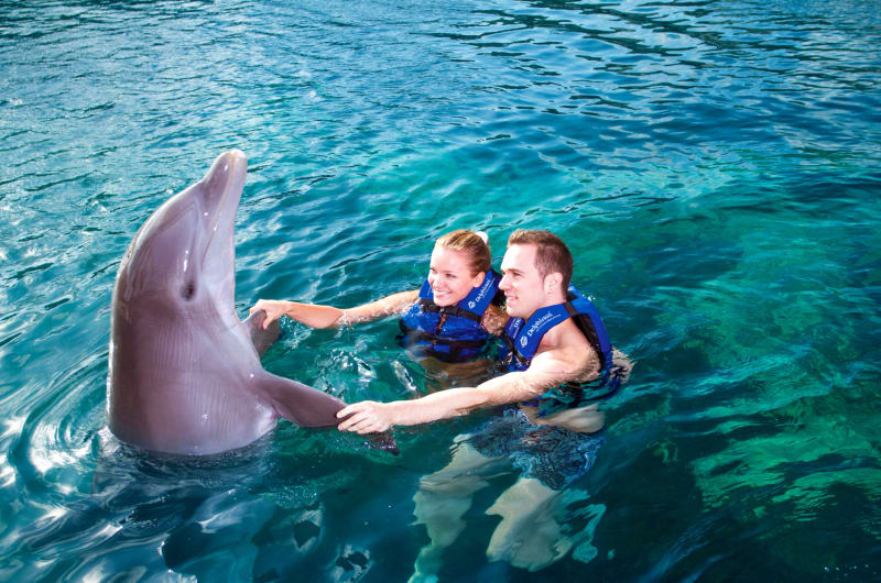Delphinus Xcaret — photo 2