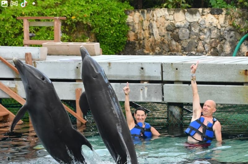 Delphinus Xcaret — photo 3