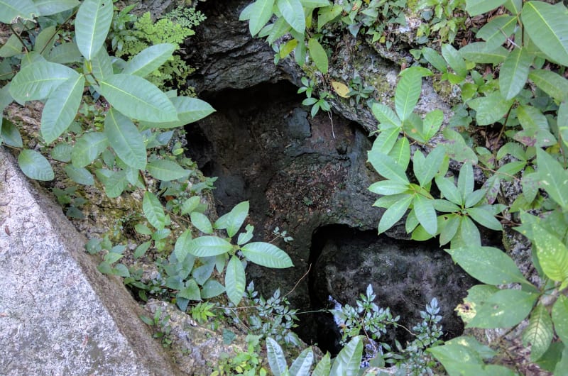 Cenote Sac Be Ha — photo 1
