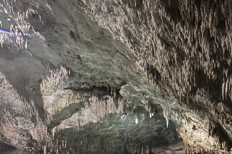 TaakBi Luum — photo 1