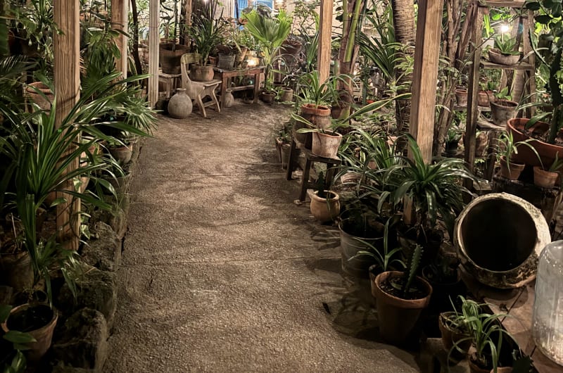 Posada Margherita — photo 3