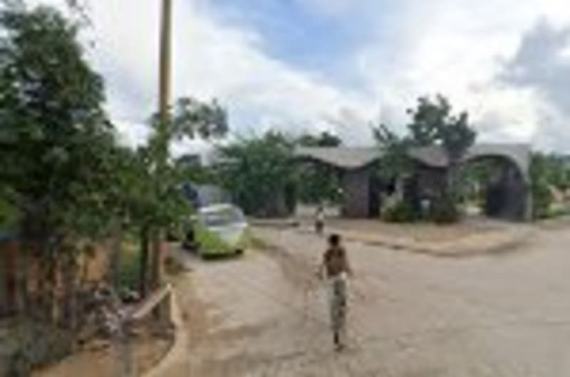 Pollos asados yaneth — photo 2