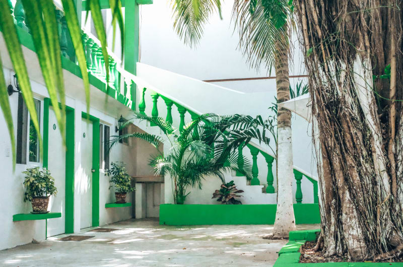 Hotel Mundo Maya Tulum — photo 3