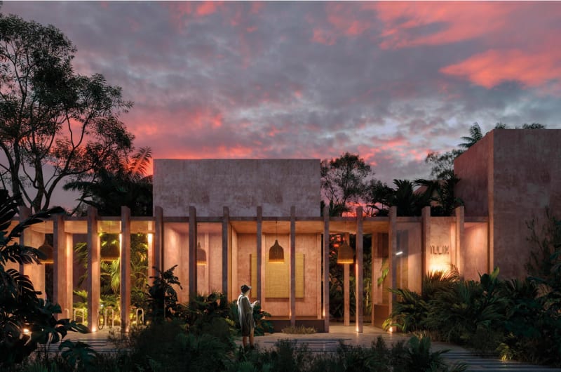 Tulix tulum — photo 1