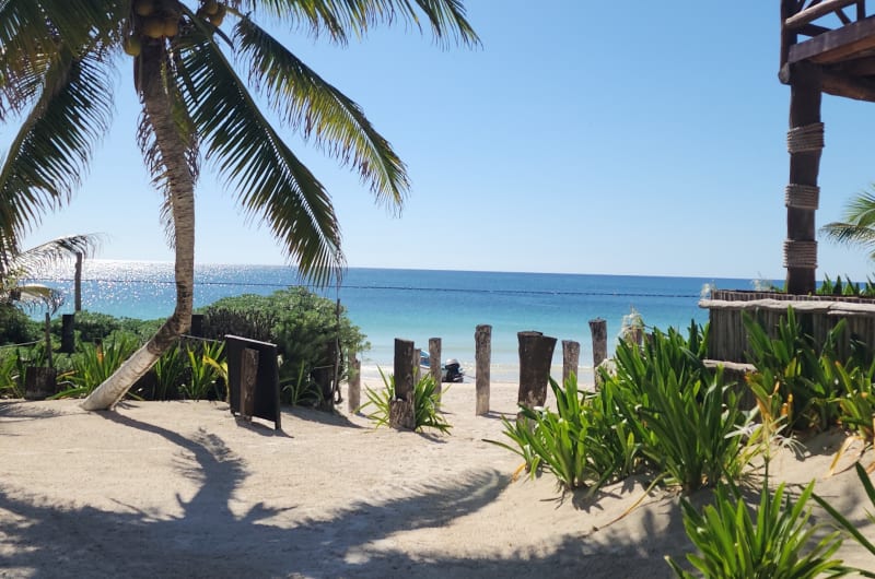 Playa las Palmas Glamping Tulum — photo 3