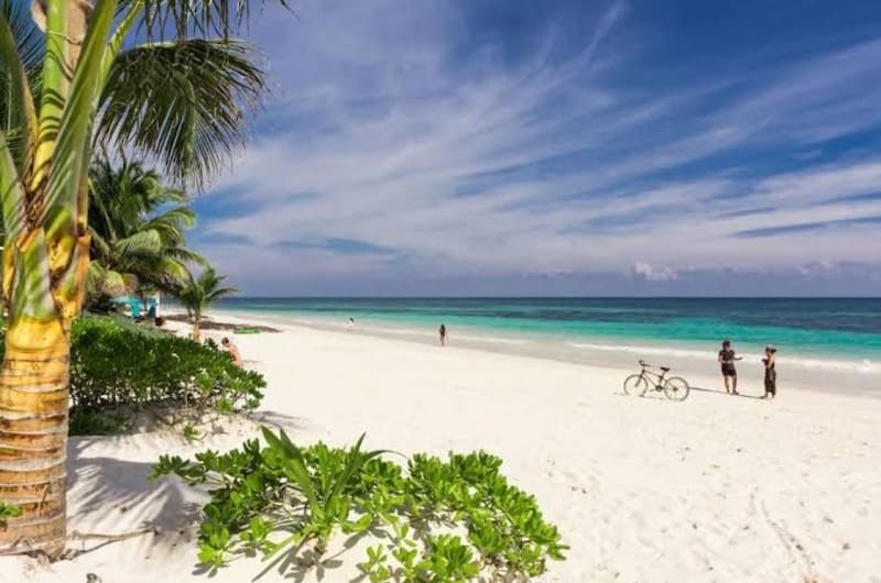 Beachfront villa - Early booking 20% OFF at Tripintravel! — photo 3