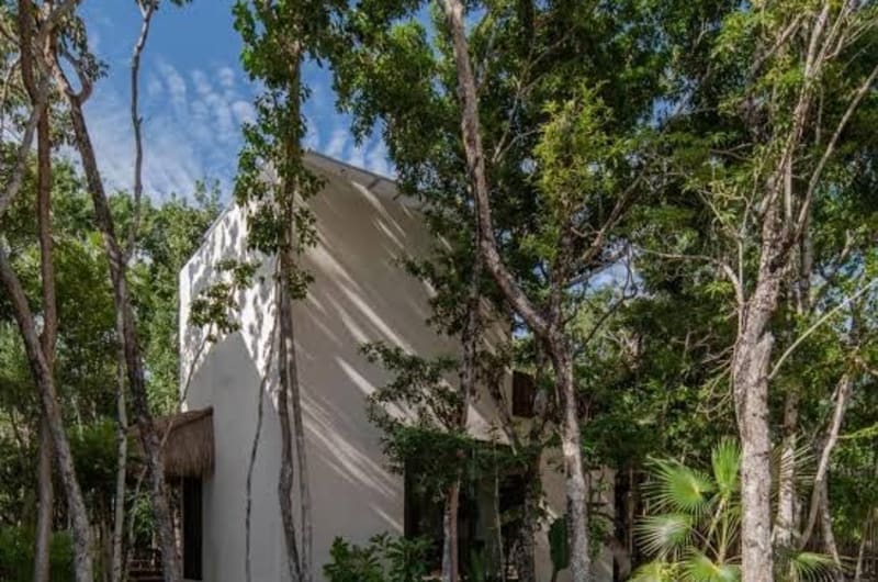 Eco-Friendly Bungalows En La Selva De Tulum - Villa — photo 3