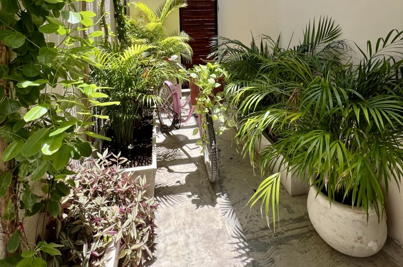 Casa Wayak — photo 1