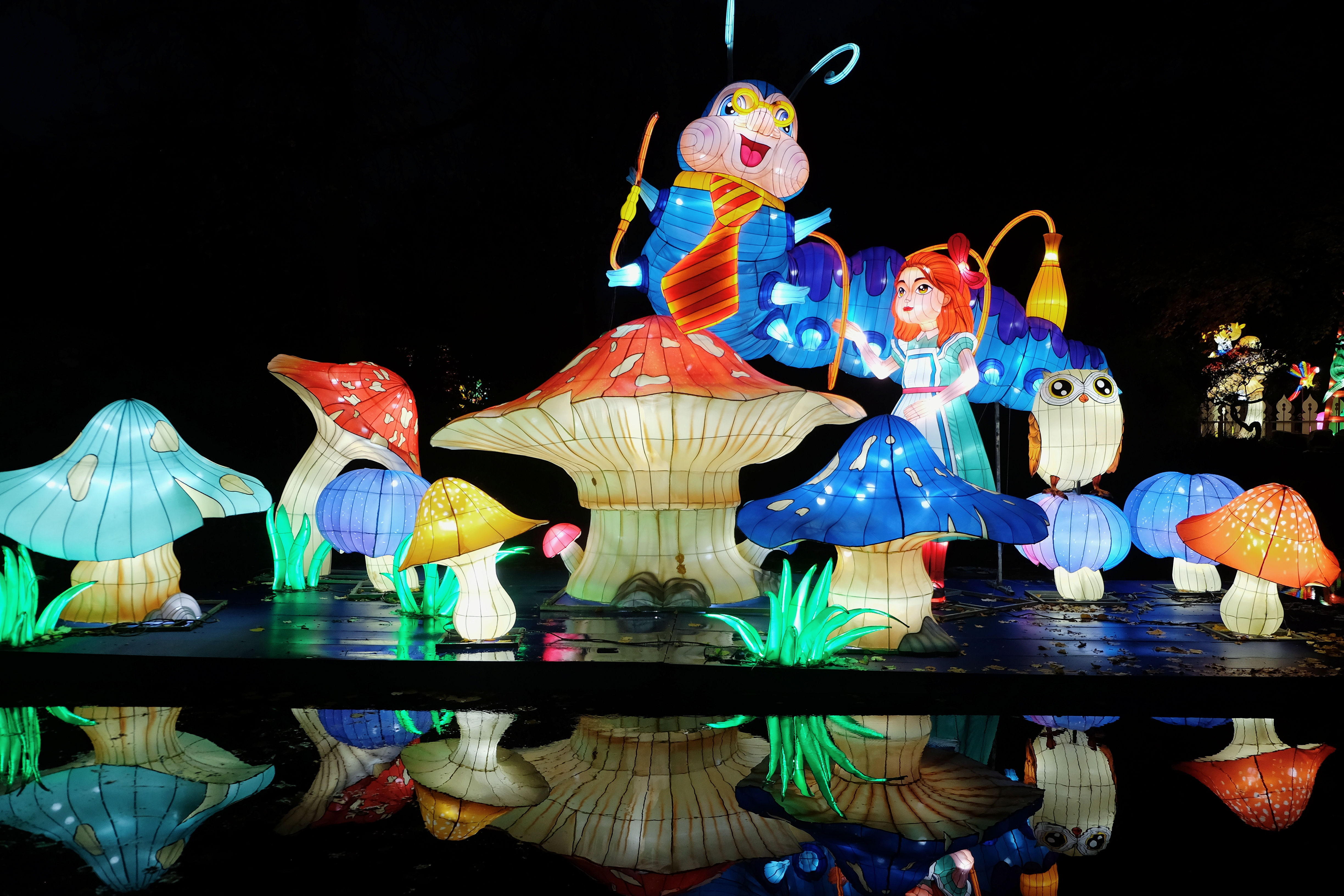 China Light | China Light presents Alice in Wonderland