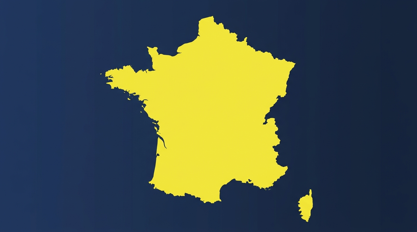Importer and Exporter of Record in France