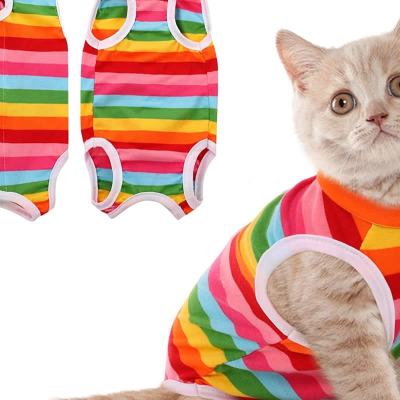 Multipurpose Steam Cat Brush Dog Brush For Shedding