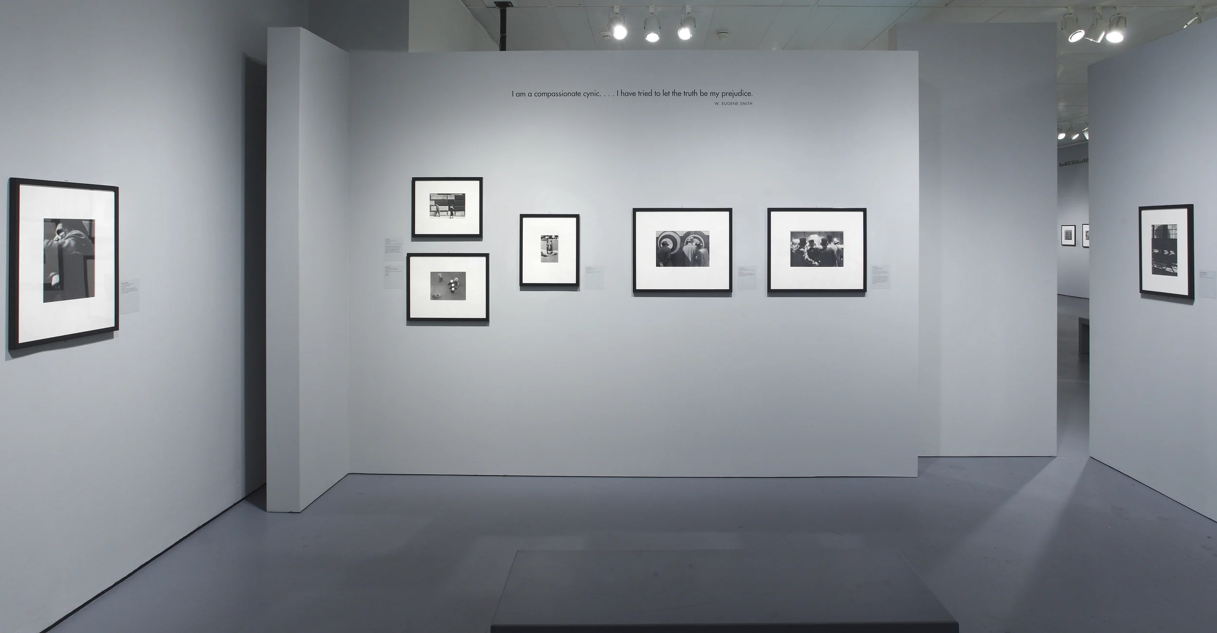 the radical camera, photographs, floating wall