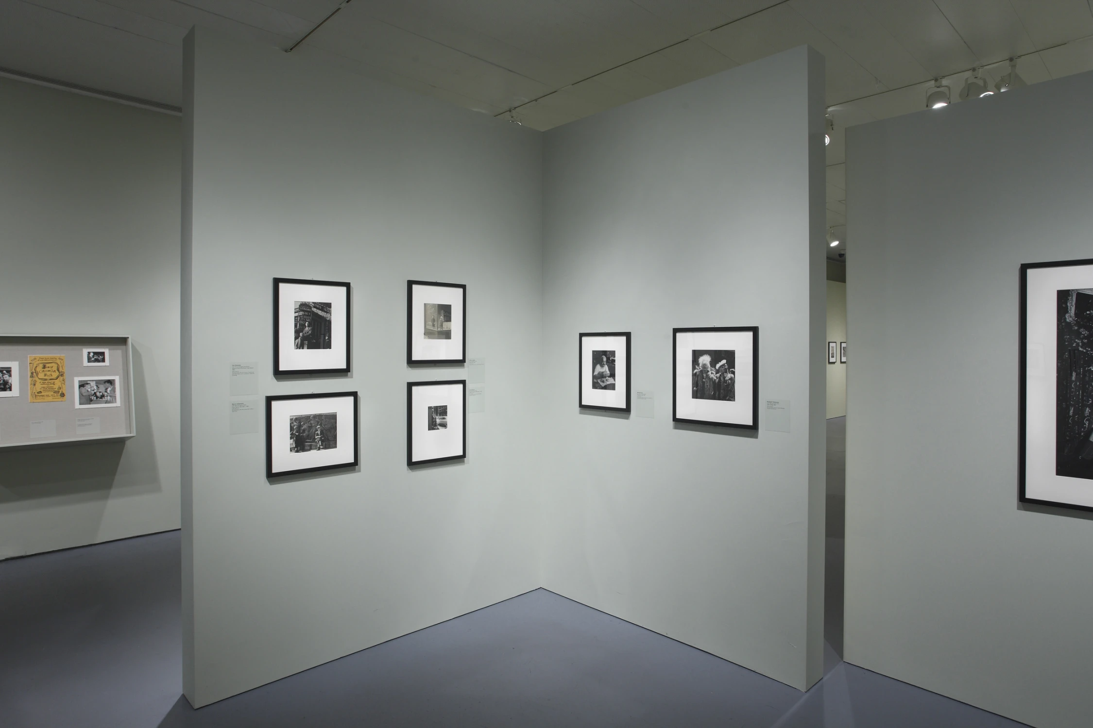 the radical camera, gray, corner