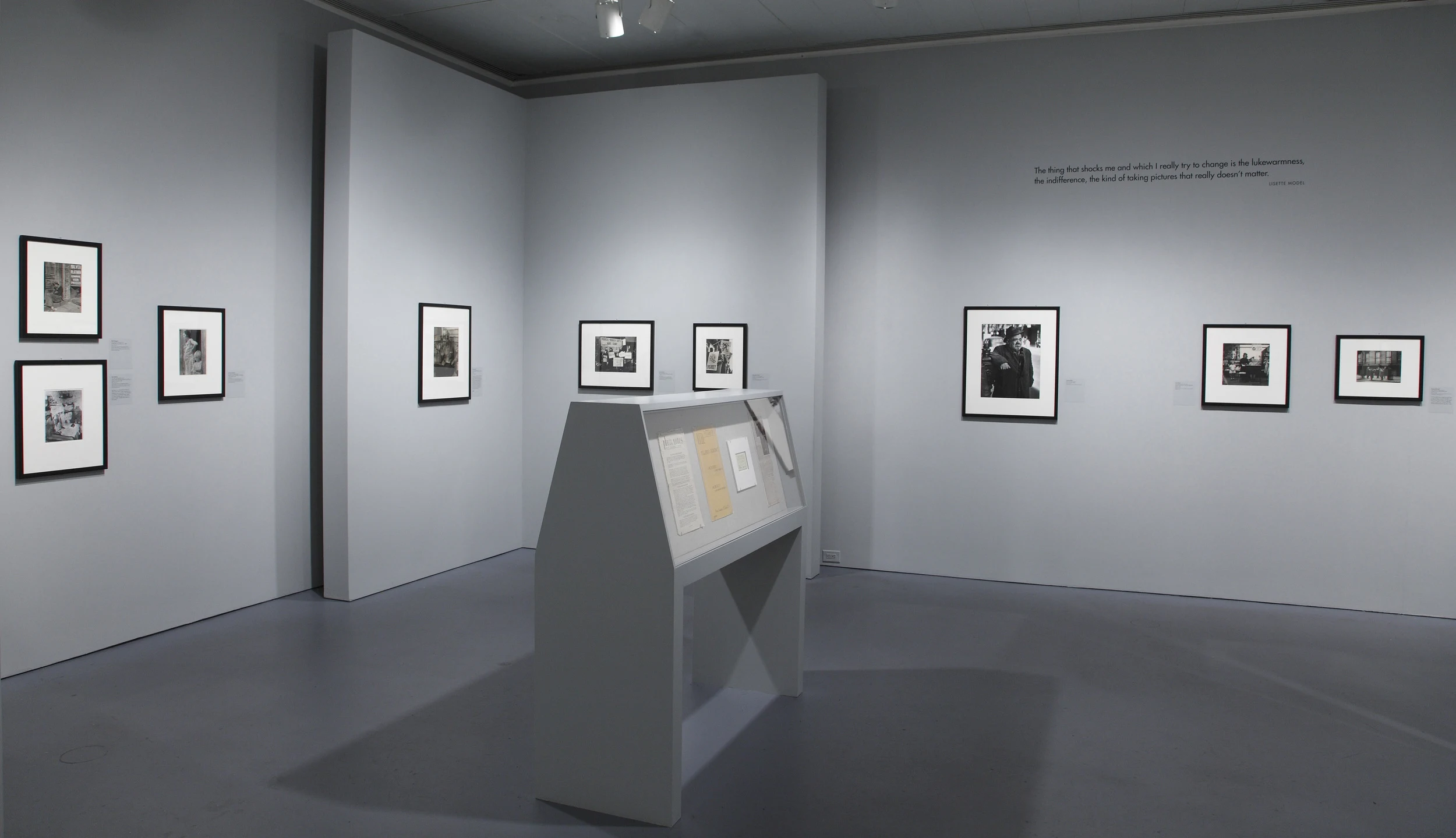 the radical camera, photographs, gallery space