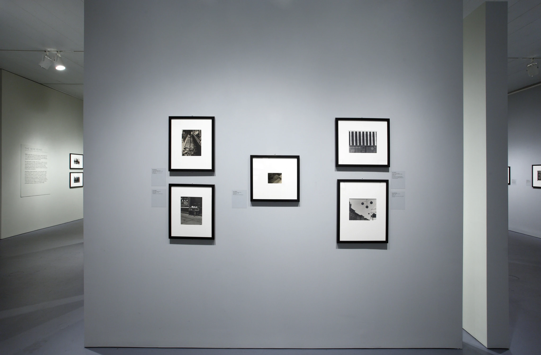 the radical camera, photographs, display