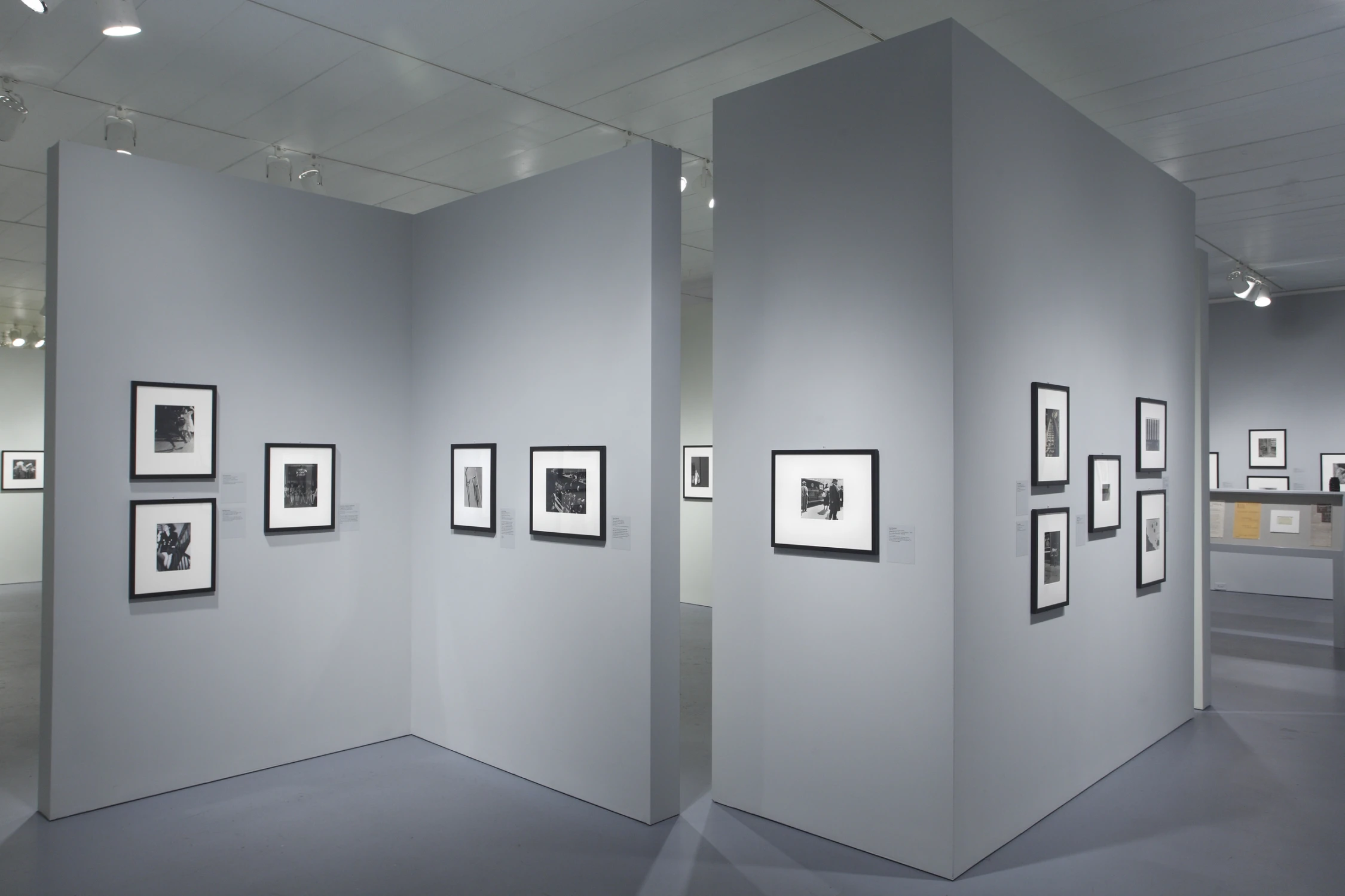 the radical camera, grey, walls
