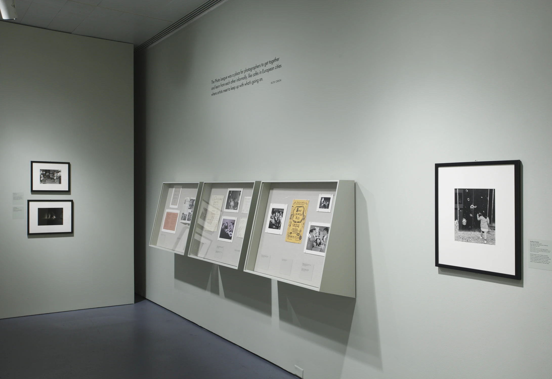 the radical camera, photographs, displays