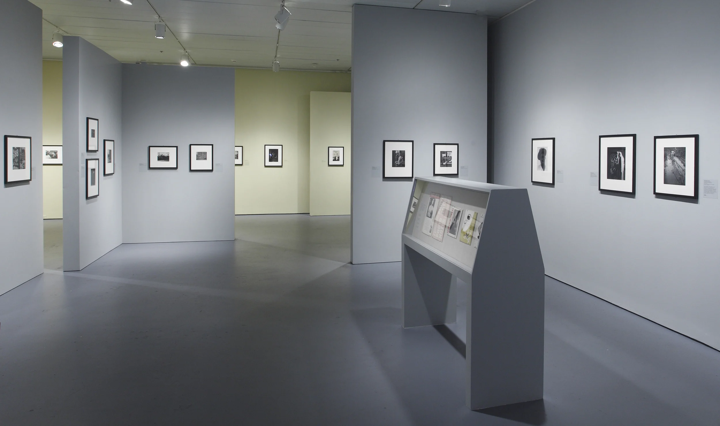 the radical camera, gallery, walls