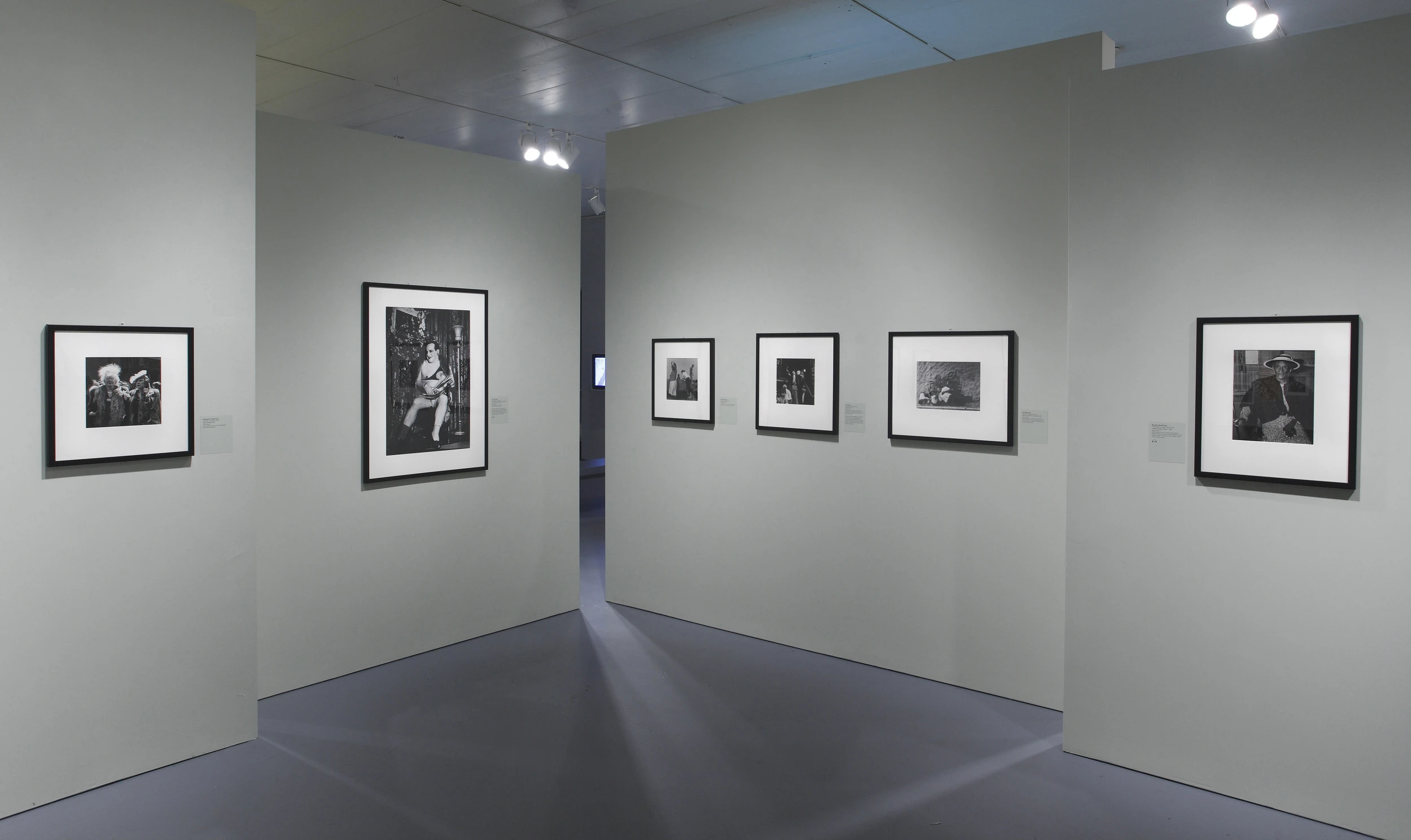 the radical camera, staggered walls, photographs