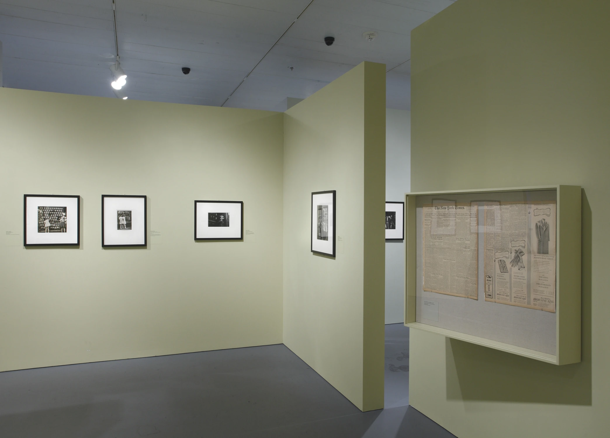 the radical camera, newspaper, green