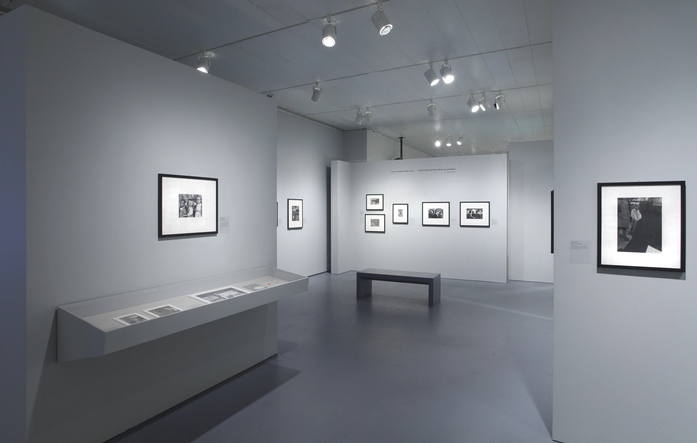 the radical camera, gallery, bench