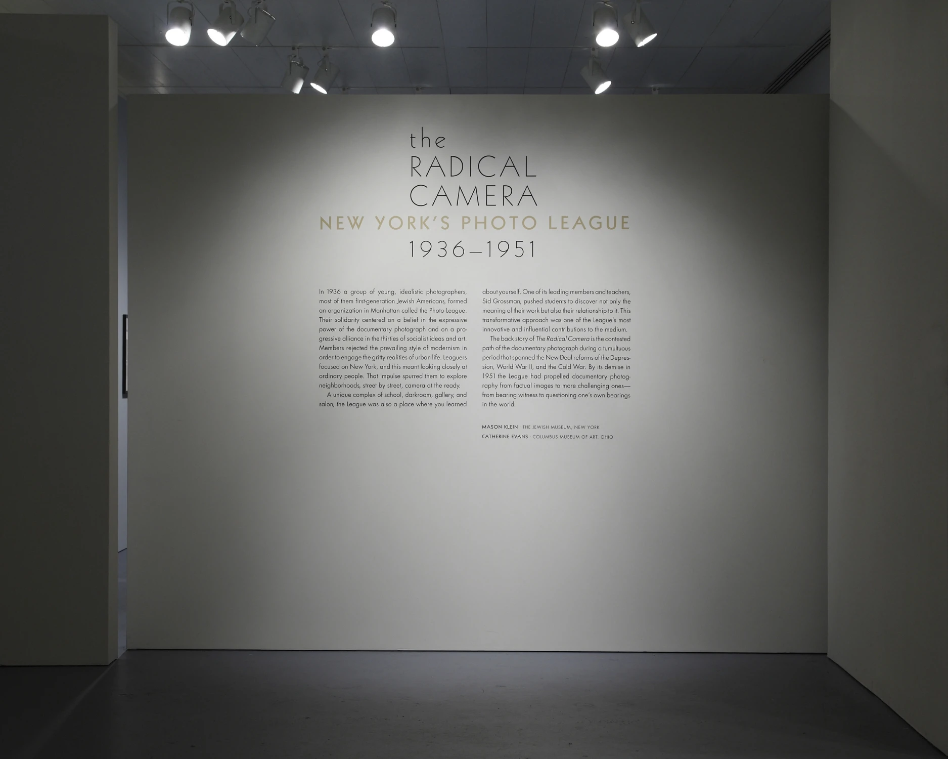the radical camera, introduction, gallery