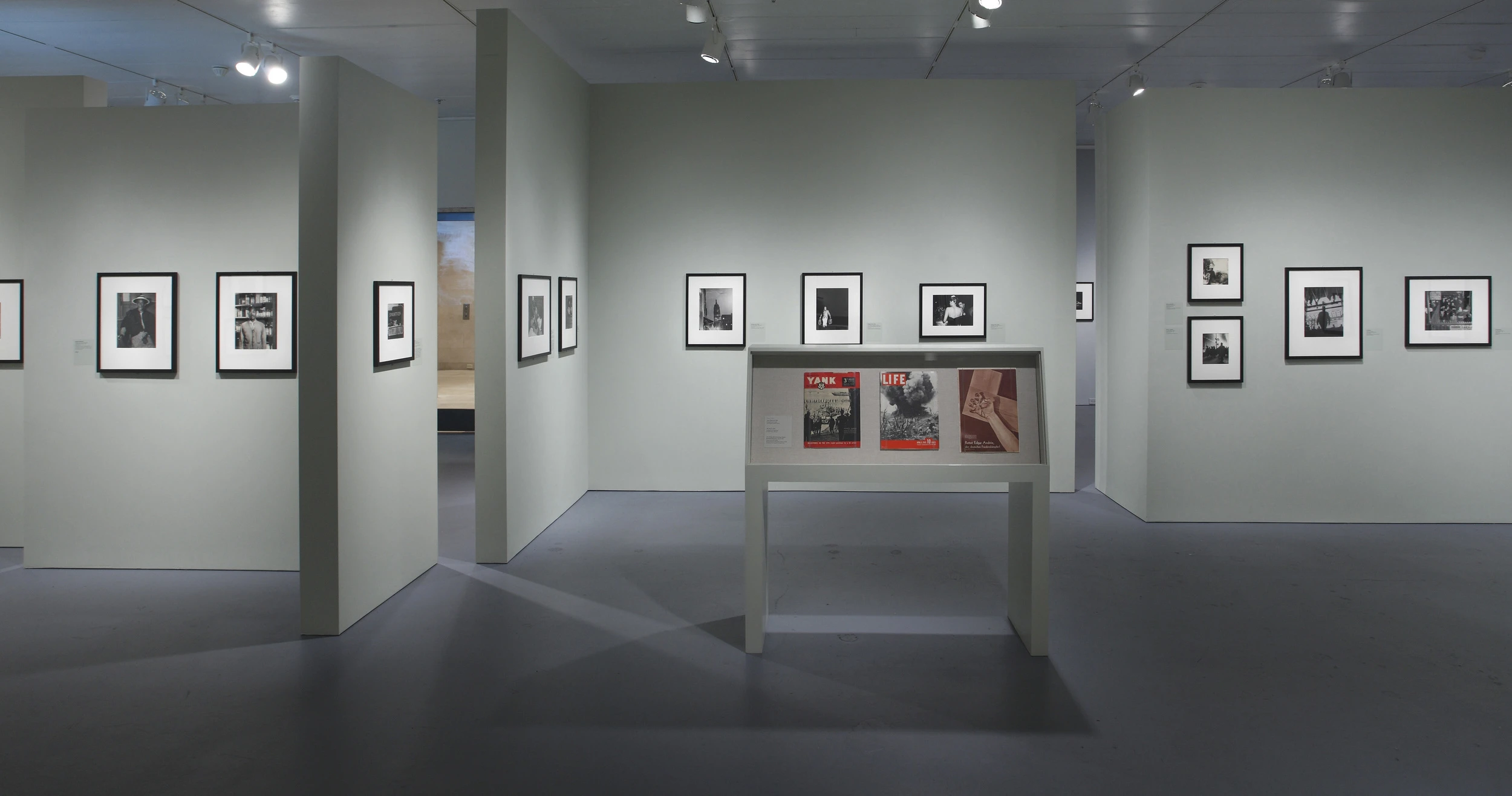 the radical camera, display, magazines