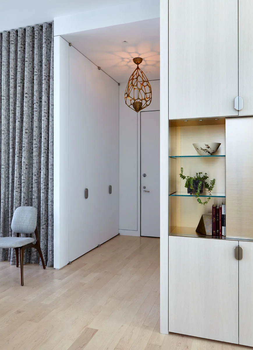CLOSET, light, curtain, hallway, pattern, chair, books, wood, fabric, plants