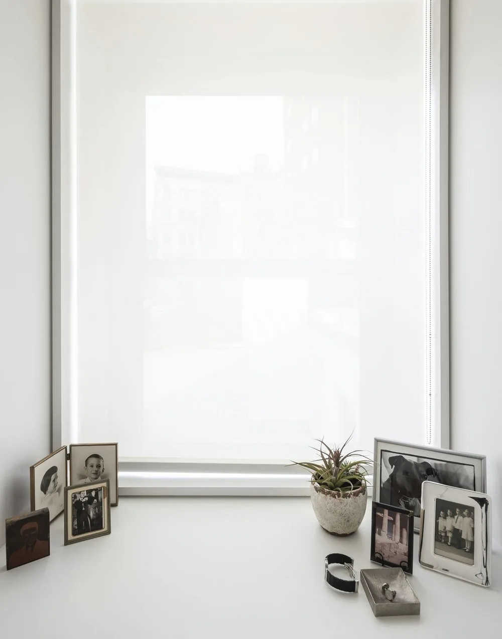 screen, window, photos,frames, plant, watch, white, jewlery, ring,dog
