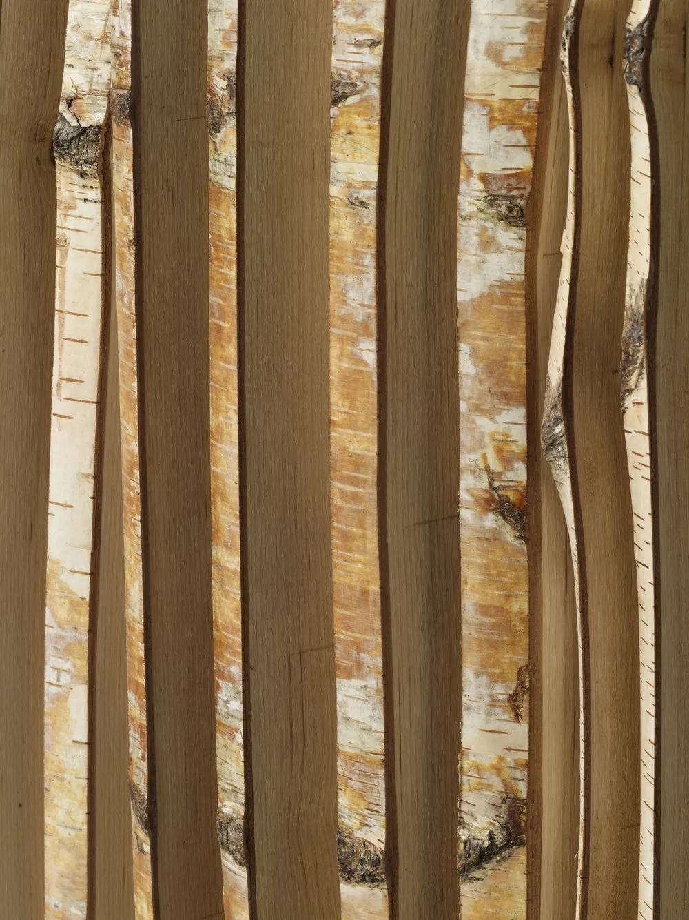 WOOD DETAIL, birch
